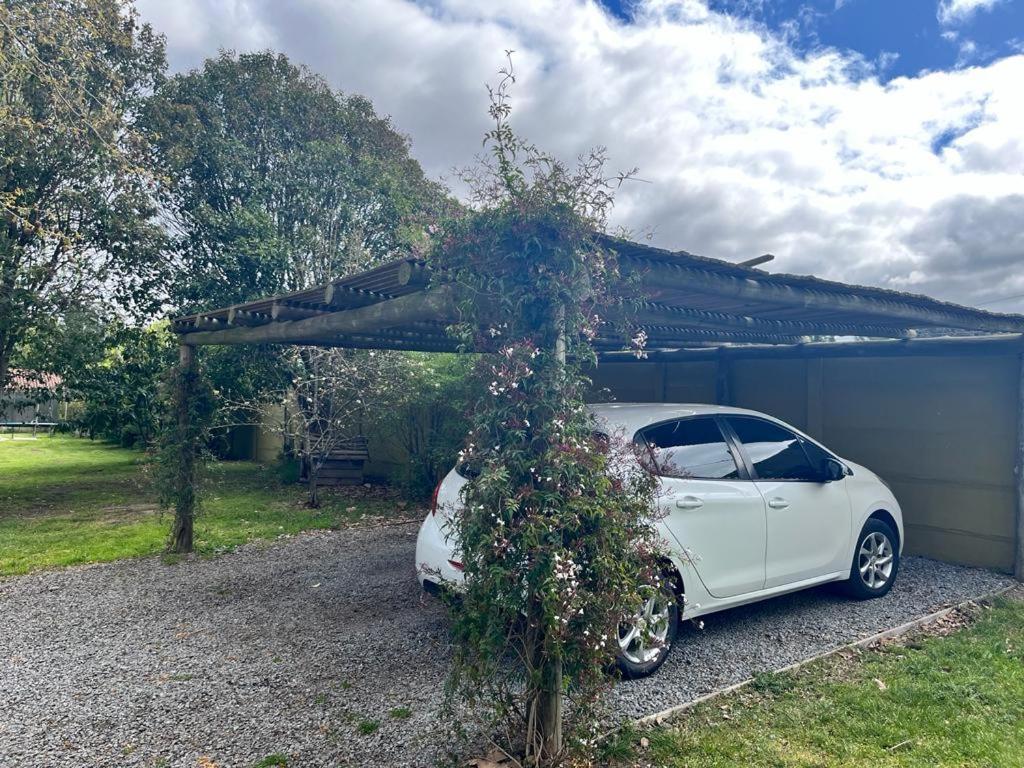 Cabana Los Robles Tandil Eksteriør billede